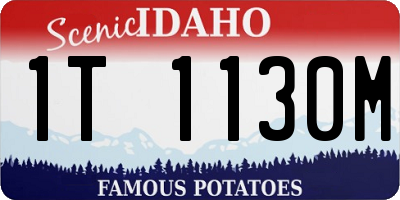 ID license plate 1T1130M