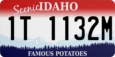 ID license plate 1T1132M