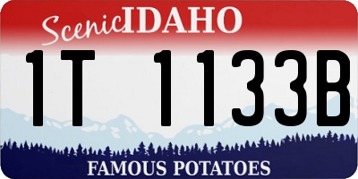 ID license plate 1T1133B