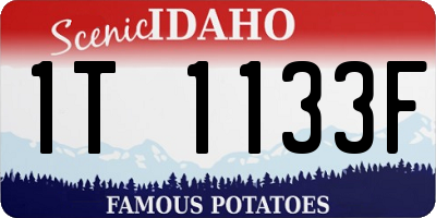ID license plate 1T1133F