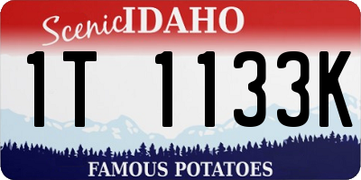 ID license plate 1T1133K