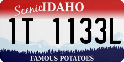 ID license plate 1T1133L