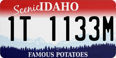 ID license plate 1T1133M
