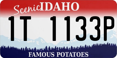 ID license plate 1T1133P