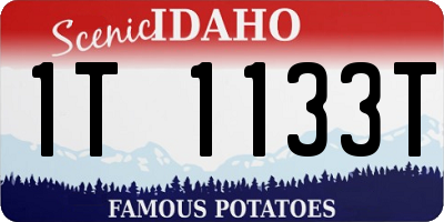 ID license plate 1T1133T