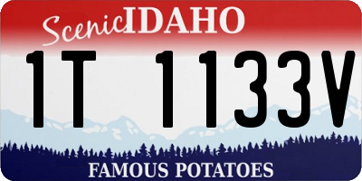 ID license plate 1T1133V