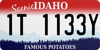ID license plate 1T1133Y