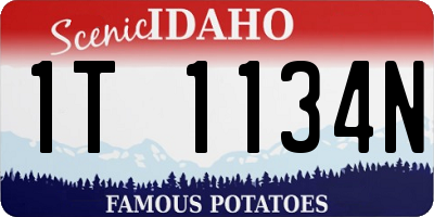 ID license plate 1T1134N
