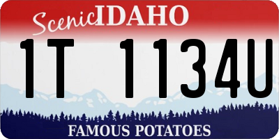 ID license plate 1T1134U