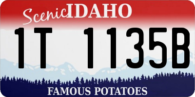 ID license plate 1T1135B