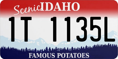 ID license plate 1T1135L