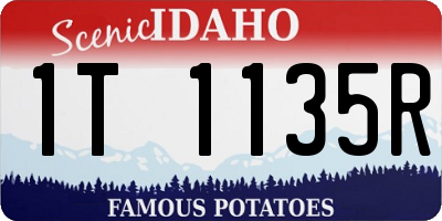 ID license plate 1T1135R