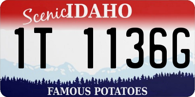 ID license plate 1T1136G