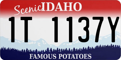 ID license plate 1T1137Y