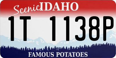 ID license plate 1T1138P