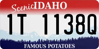 ID license plate 1T1138Q