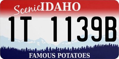 ID license plate 1T1139B