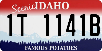 ID license plate 1T1141B