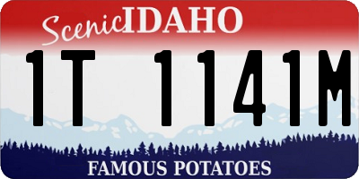 ID license plate 1T1141M