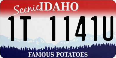 ID license plate 1T1141U