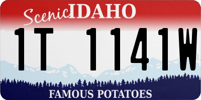 ID license plate 1T1141W