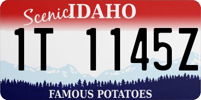 ID license plate 1T1145Z