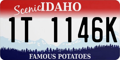 ID license plate 1T1146K
