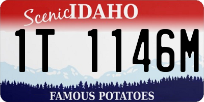 ID license plate 1T1146M
