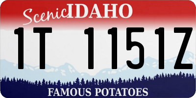 ID license plate 1T1151Z