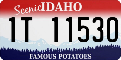 ID license plate 1T1153O