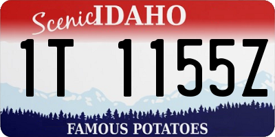 ID license plate 1T1155Z