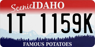 ID license plate 1T1159K
