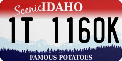 ID license plate 1T1160K
