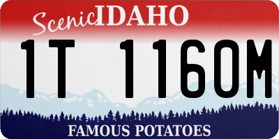 ID license plate 1T1160M