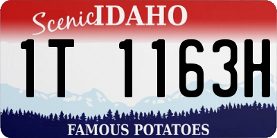ID license plate 1T1163H