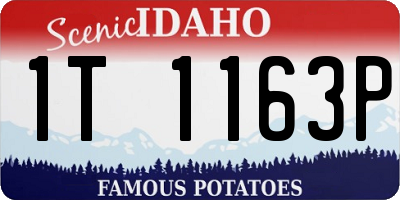 ID license plate 1T1163P