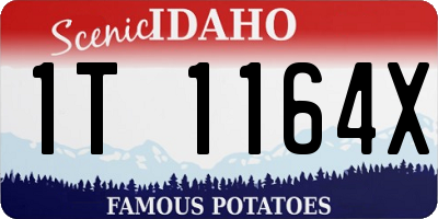ID license plate 1T1164X
