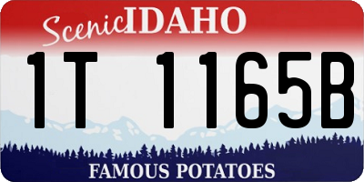 ID license plate 1T1165B