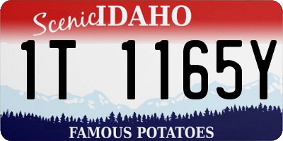 ID license plate 1T1165Y