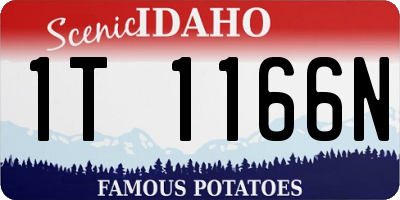 ID license plate 1T1166N