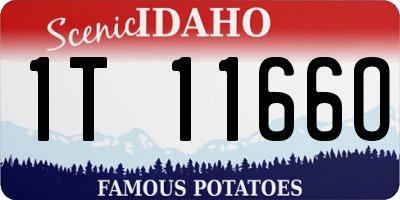 ID license plate 1T1166O