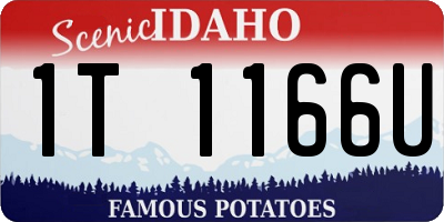 ID license plate 1T1166U
