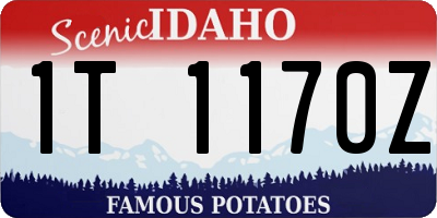 ID license plate 1T1170Z