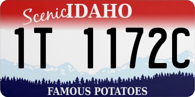 ID license plate 1T1172C
