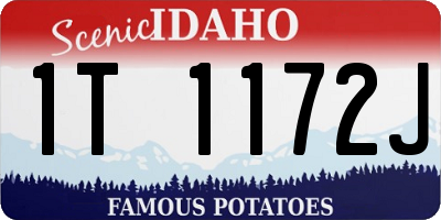 ID license plate 1T1172J