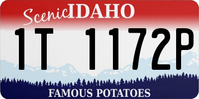 ID license plate 1T1172P
