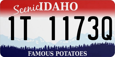 ID license plate 1T1173Q