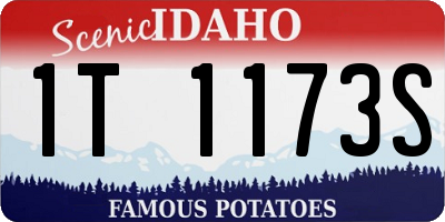 ID license plate 1T1173S