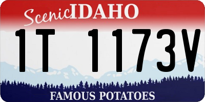 ID license plate 1T1173V