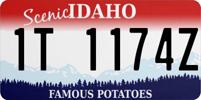 ID license plate 1T1174Z